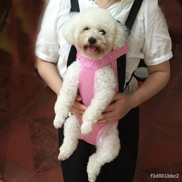 Pet out door strap - Image 5