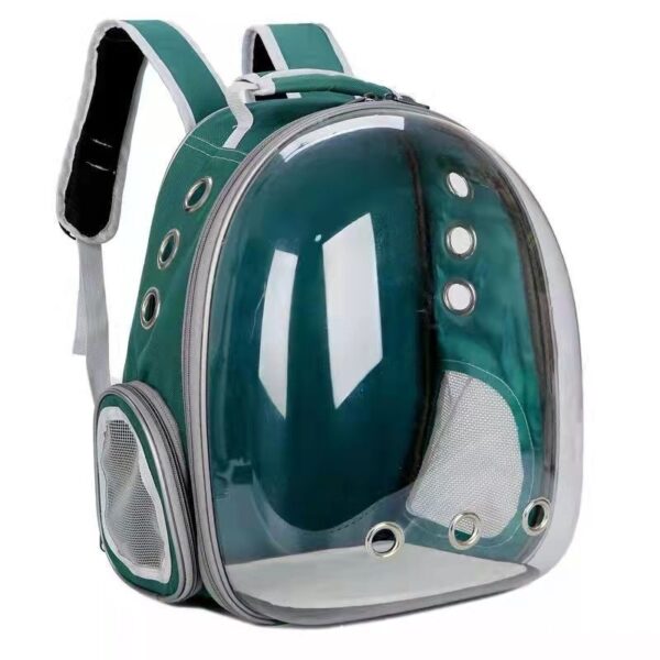 Fashionable Transparent Panoramic Outdoor Four Seasons Universal Pet Backpack Side Opening Breathable - Image 9