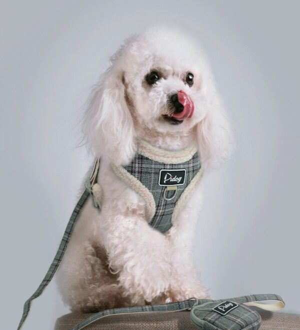Puppy dog leash - Image 5
