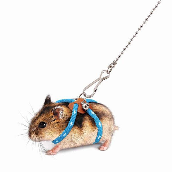 Hamster Hand Holding Rope Anti-bite Broken Mouse Walking Rope - Image 7